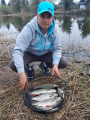 Klenie 2018