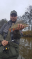 Perch