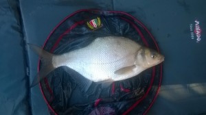 WP_20151101_003